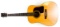 Takamine Acoustic Dreadnaught Guitar