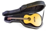 Custom Halcyon Acoustic Guitar