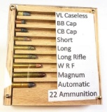 22 Ammo display