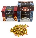 Federal .22 LR ammo