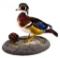 Wood Duck Taxidermy Mount