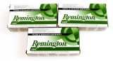Remington .380 auto ammo