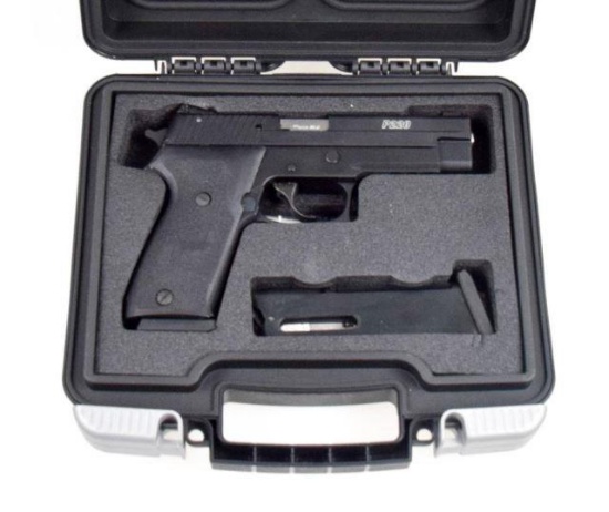 Sig Sauer - P220R - .22 lr