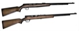 Group of 2 Rifles