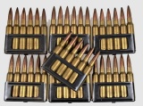 6.5 Carcano Ammo