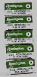 Remington UMC .223 REM Ammo