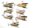 (7) Heddon Crazy Crawler 2100