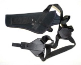 pair of holsters