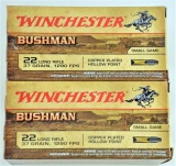 Winchester Bushman Small Game .22lr Ammo