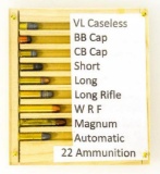 22 Ammo display