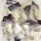 (34) 5 ct packs (170) total - Eagle Claw LT 95-316R3 - Size 3/0 Weighted Worm Hook