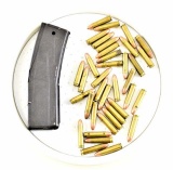 M1 Carbine Magazine and ammo