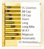 22 Ammo display