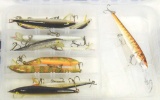 (11) Rapala Lures