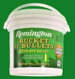 Remington Bucket O'Bullets .22 LR Hollow Point Bullets