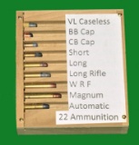 Custom .22 cal Ammo Display