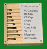Custom .22 cal Ammo Display