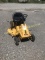 HAHN 8HP RIDING MOWER CTD-500 30