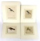 Lot of 4 Original Watercolors of birds by Listed Artist Heinrich Gottlieb Ludwig Reichenbach