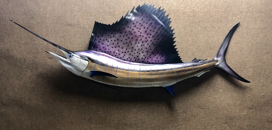 Sailfish Mount Taxidermy