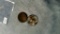 1859 & 1868 Indian Head Cents---Culls