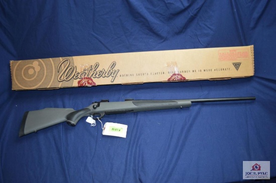 Weatherby Vanguard .25-06 | SN: VB014598 | Notes: Synthetic; ANIB