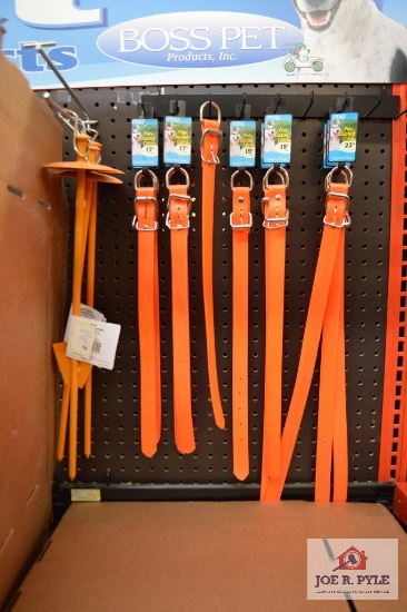 Fluorescent orange Dog Collars and stakes