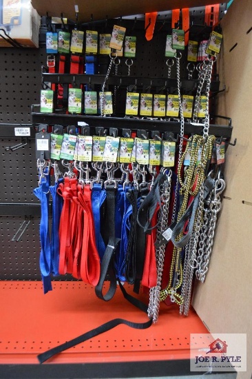 Various dog collars and leashes
