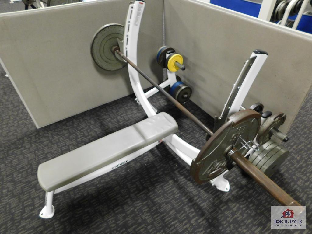 Cybex Weight Bench W Weights Bar 45 And Assorted Weights