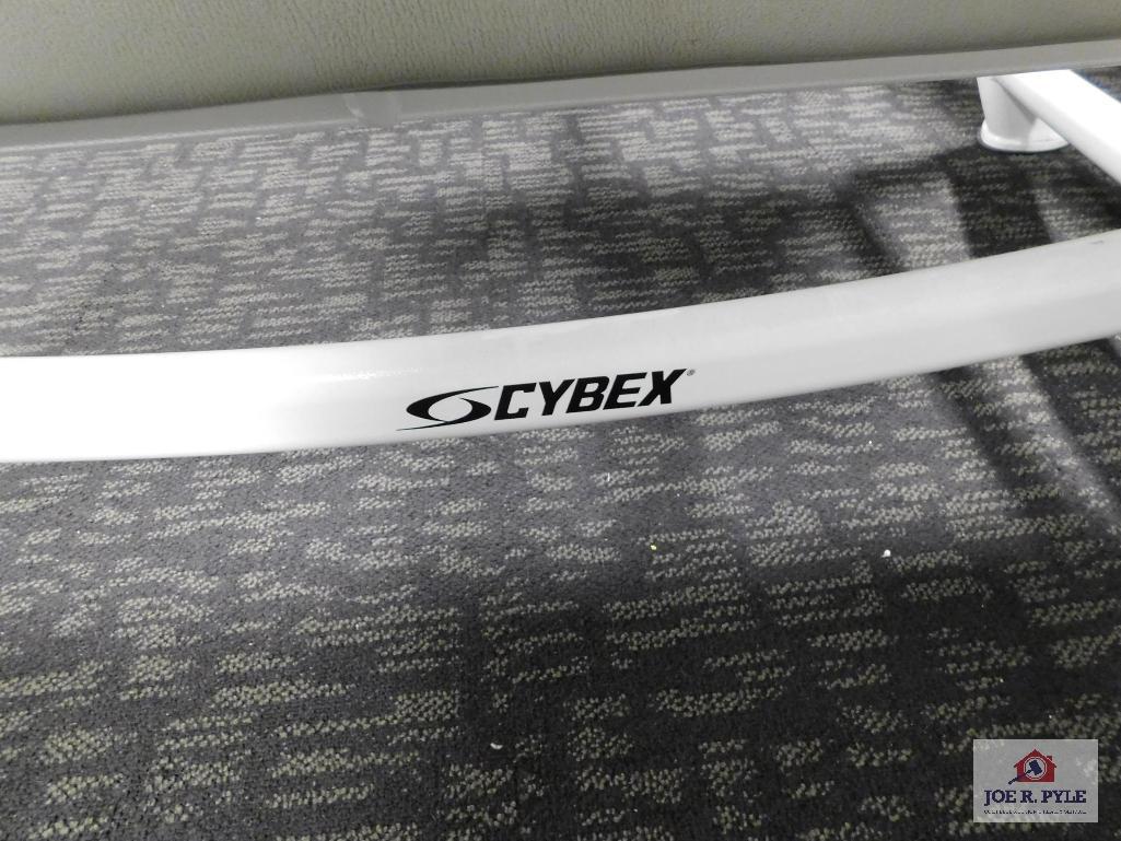 Cybex Weight Bench W Weights Bar 45 And Assorted Weights