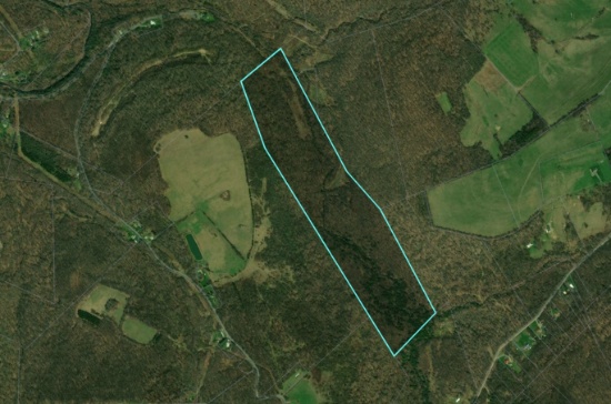 1,315 Acres Minerals & 80 Surface Acres in WV