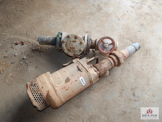 4" submersable Pump w/ 4"-3" gate valve