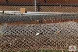 Misc. Chain link fence