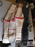 Horse bits and cinch straps