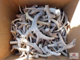 Box of antlers