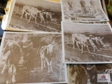 Vintage mining photos
