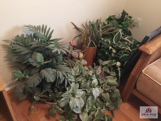 Lot of decorator ferns and plants