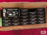 25 BOXES FEDERAL AMERICAN EAGLE .223 REM 55GR FMJ 20RD BOXES