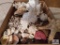 Collection of seashells