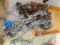 lot of chains and hooks