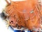 kolpin leather satchel and powder horn