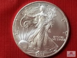 Lot of 20 Silver Eagle Dollars: 2003