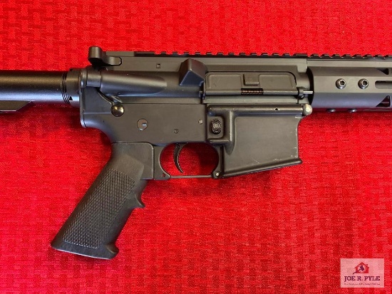 Bear Creek Arsenal BCA15 .450 Bushmaster | SN: 24308 | Comments: ANIB