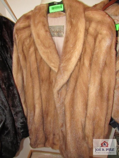 stigers fur brown coat