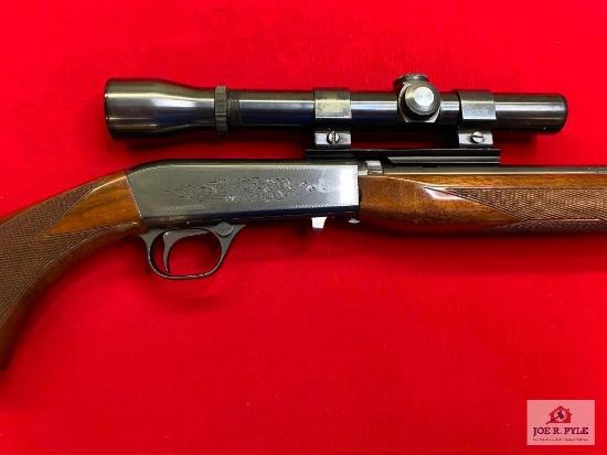 Browning Takedown Auto .22 LR | SN: 04559PW146