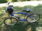 Schwinn Promax 7-gear bicycle