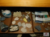 Collection of rocks, geodes, crystals with National Audubon Society books