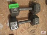 20 Lbs. Dumbbells