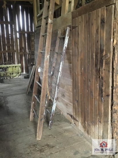Antique orchard ladder 20+ feet and small wood ladder