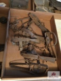 Tray of small animal traps